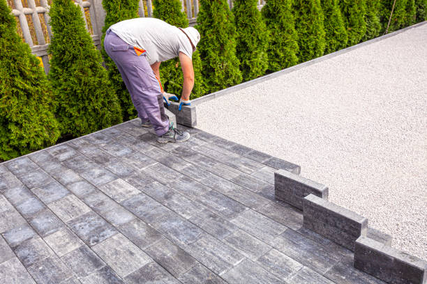 Best Driveway Paving Contractor  in Leo Cedarville, IN